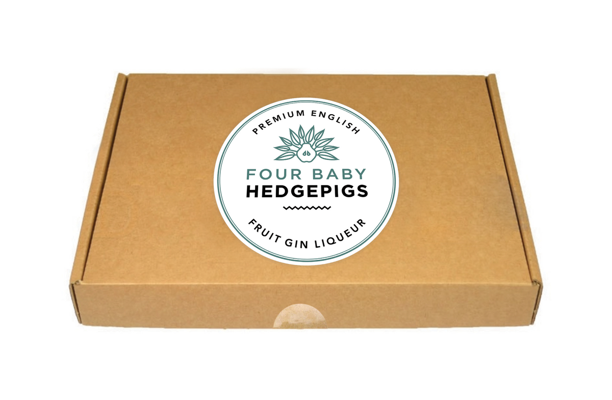4 Baby Hedgepigs